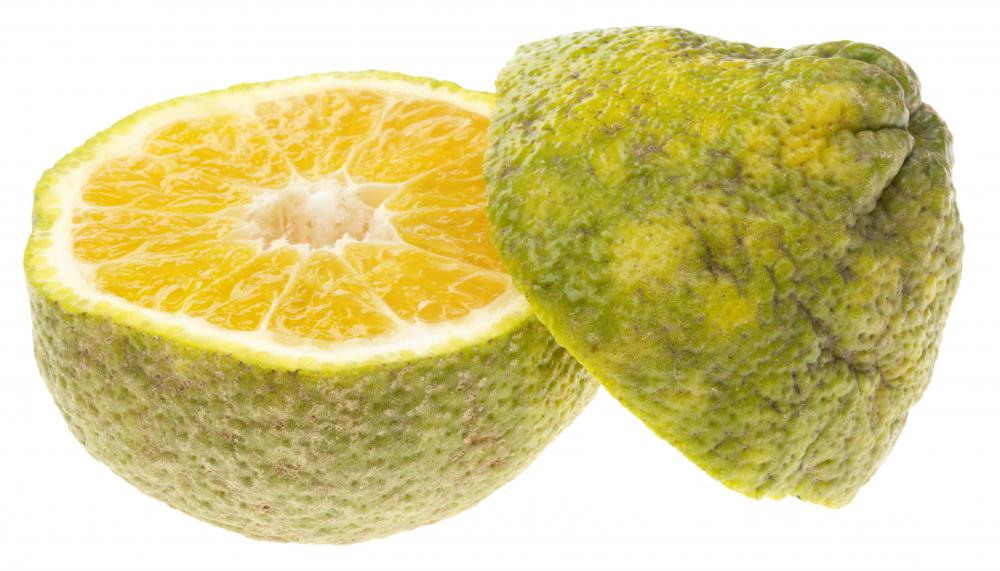 Hybridizing an orange, tangerine and grapefruit created the Ugli.