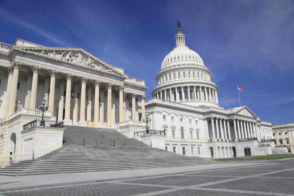 The two chambers of the legislative branch of the US government meet in the Capitol Building in Washington DC.