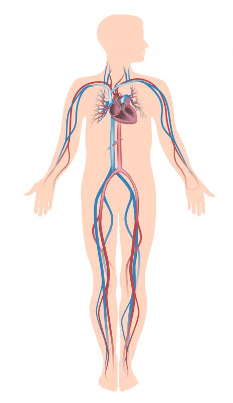 Vascular dysfunction involves blood vessel problems in the vascular system.