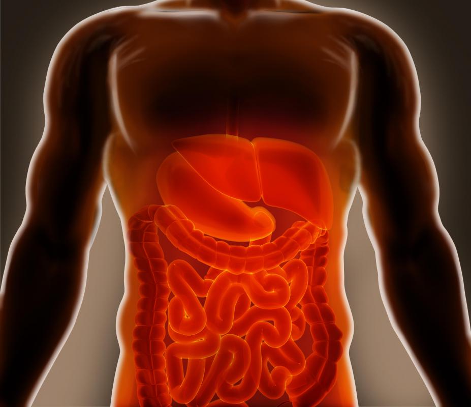 The lymphatic system absorbs fatty acids from the digestive system and transports them to the bloodstream.