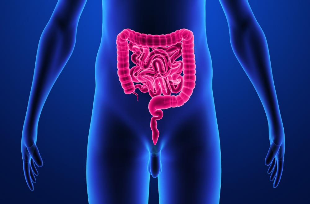 Some drugs are destroyed in the intestinal tract.