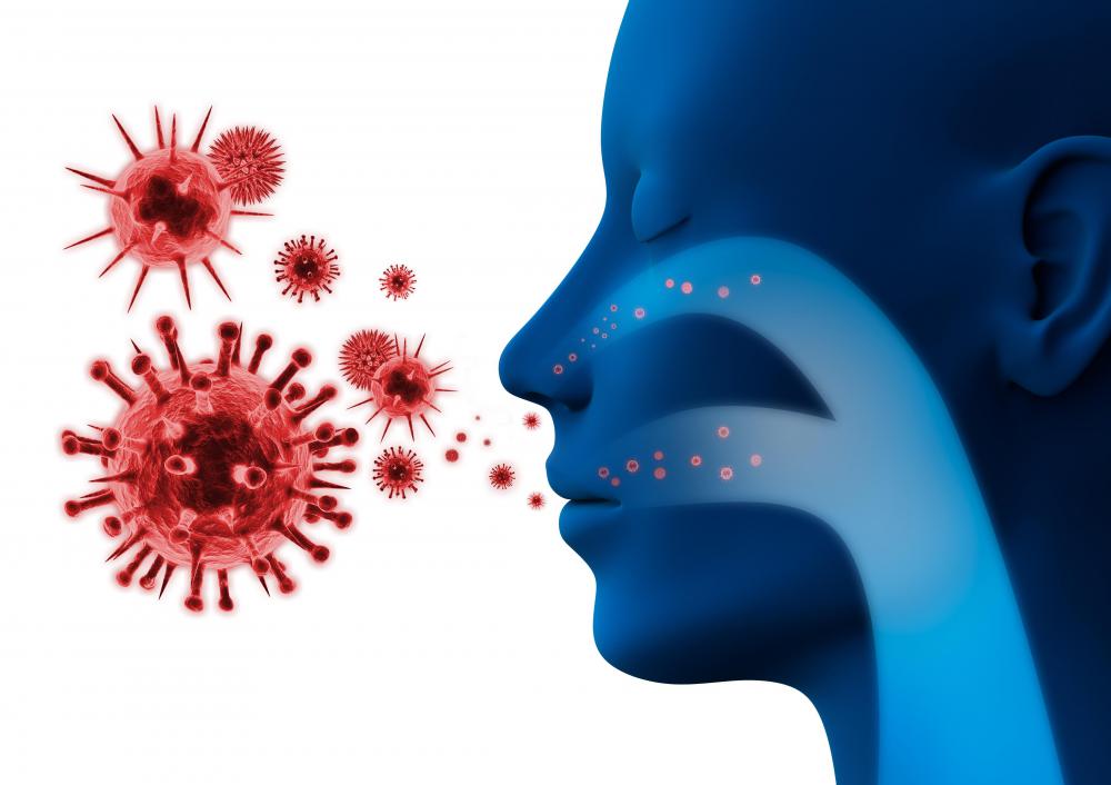 A virus is a pathogen.