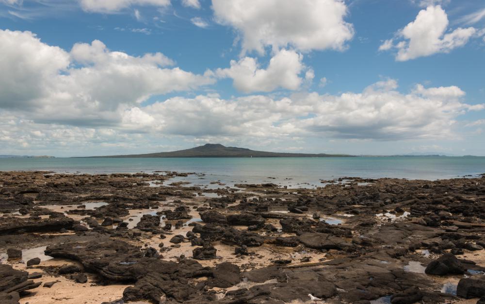 Ocean trenches are most often located parallel to volcanic islands, at the boundary of two tectonic plates.