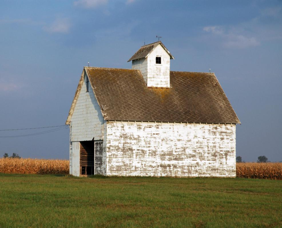 Whitewash may be ideal for the interior of barns.