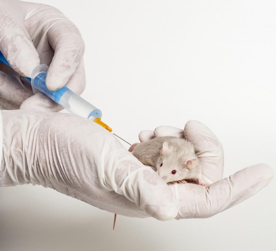 Many feel that it is unethical to test drugs and procedures on animals.
