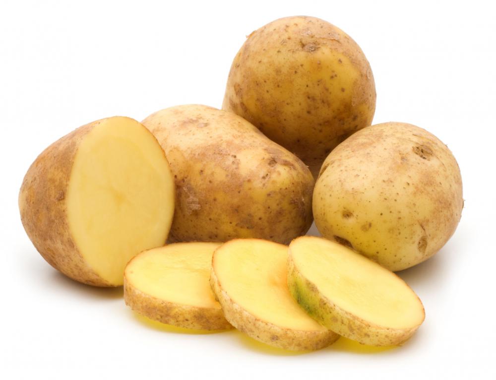 A blight ruined the Irish potato crop from 1845 to 1849.