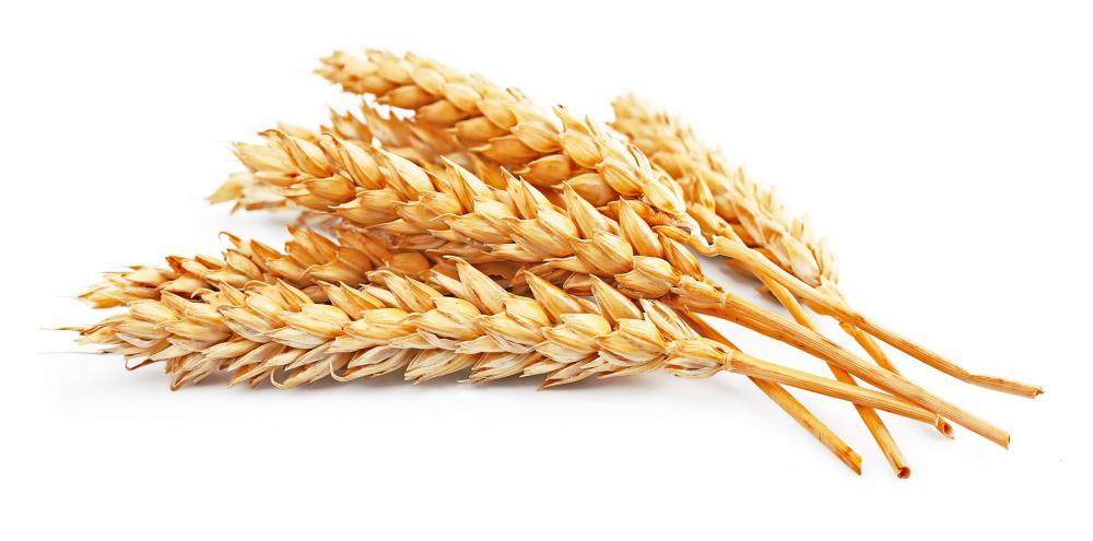 Whole grains contain polysaccharides.