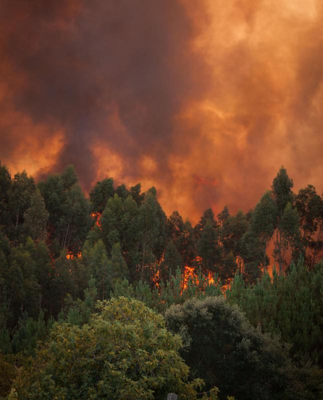 Fire dynamics simulators are used to predict how fire will react to different scenarios.