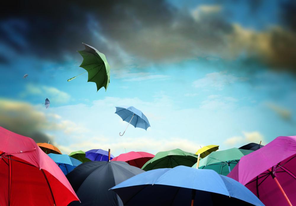 Umbrellas are considered a type of rain gear.