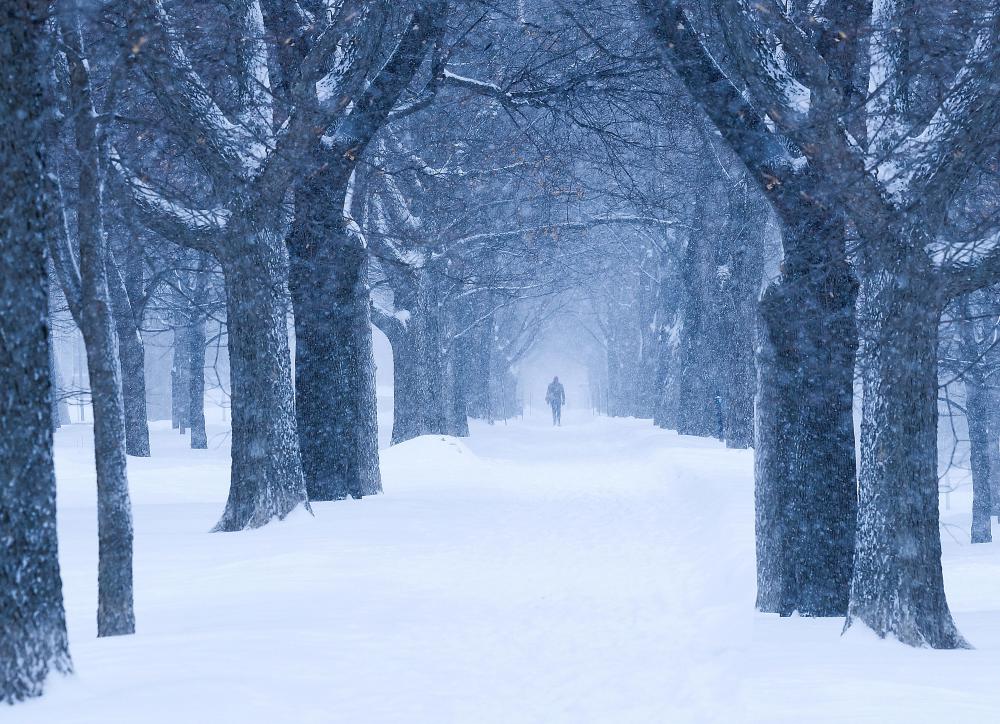 Advection fog is possible over snow-covered land masses.