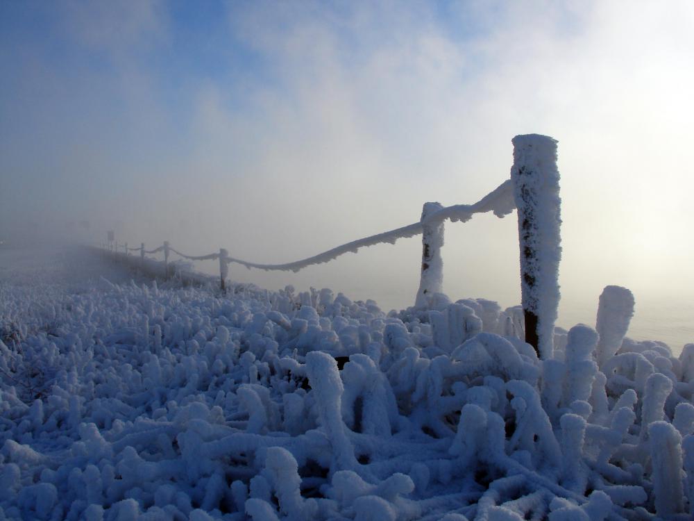 Cold burns can occur when skin is exposed to something that is extremely cold such as snow or ice.