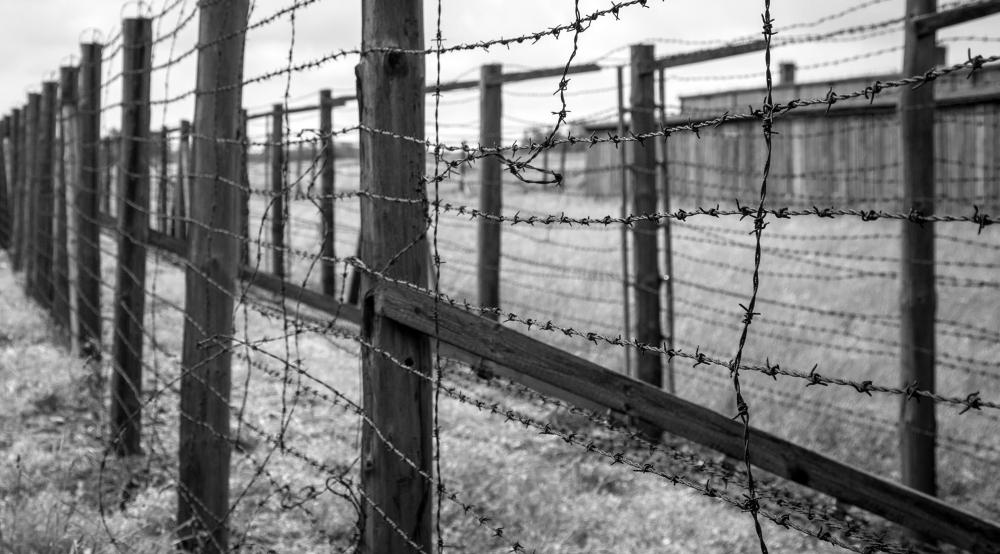 Barbed wire fences are often used as a type of perimeter fence.