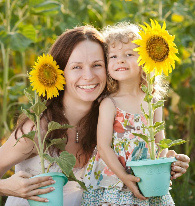 Wild sunflowers are commonly found in Kansas.