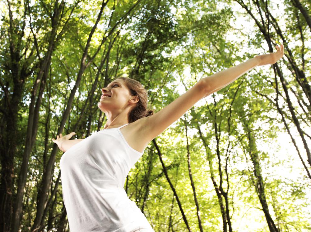Buddhist meditation focuses on tranquility.