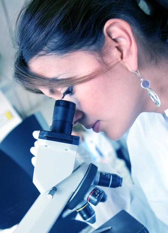 A science degree can pave the way for many careers.