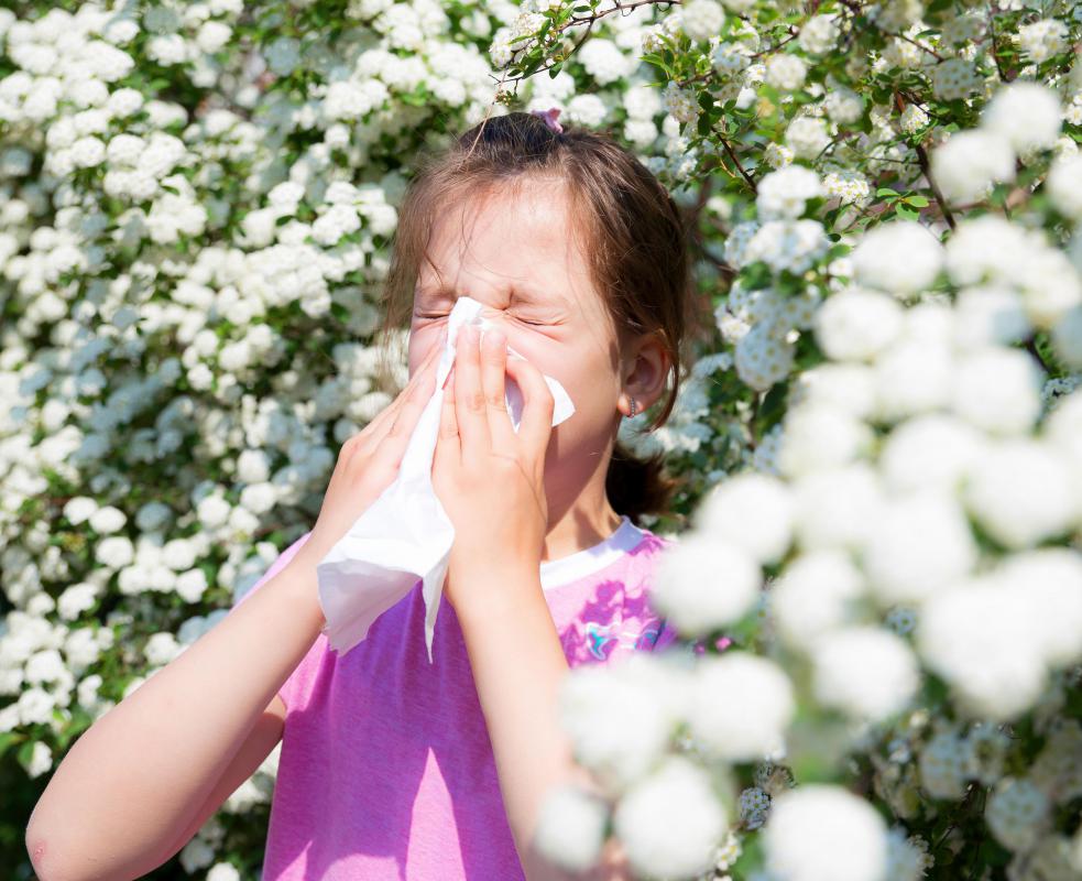 Postnasal drip caused by allergies may cause morning phlegm.