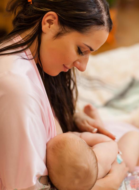 Glands in the areola help lubricate the breast during nursing.