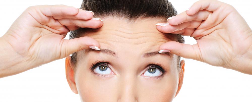 The frontalis extends from the eyebrow to the hairline.