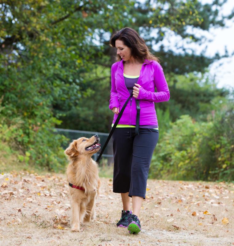 The pubic symphysis allows the pubic bones to shift during walking.