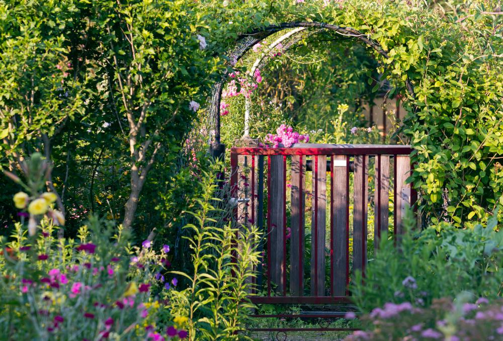Hellebore and lung wort are good plants for a shady garden.
