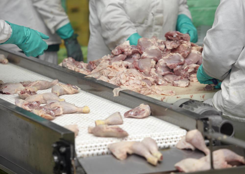 Poultry goes through several stages before being cut up and packaged.