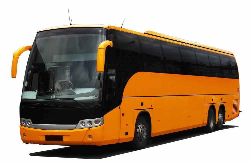 Drivers must obtain a class B license to drive coaches or buses.