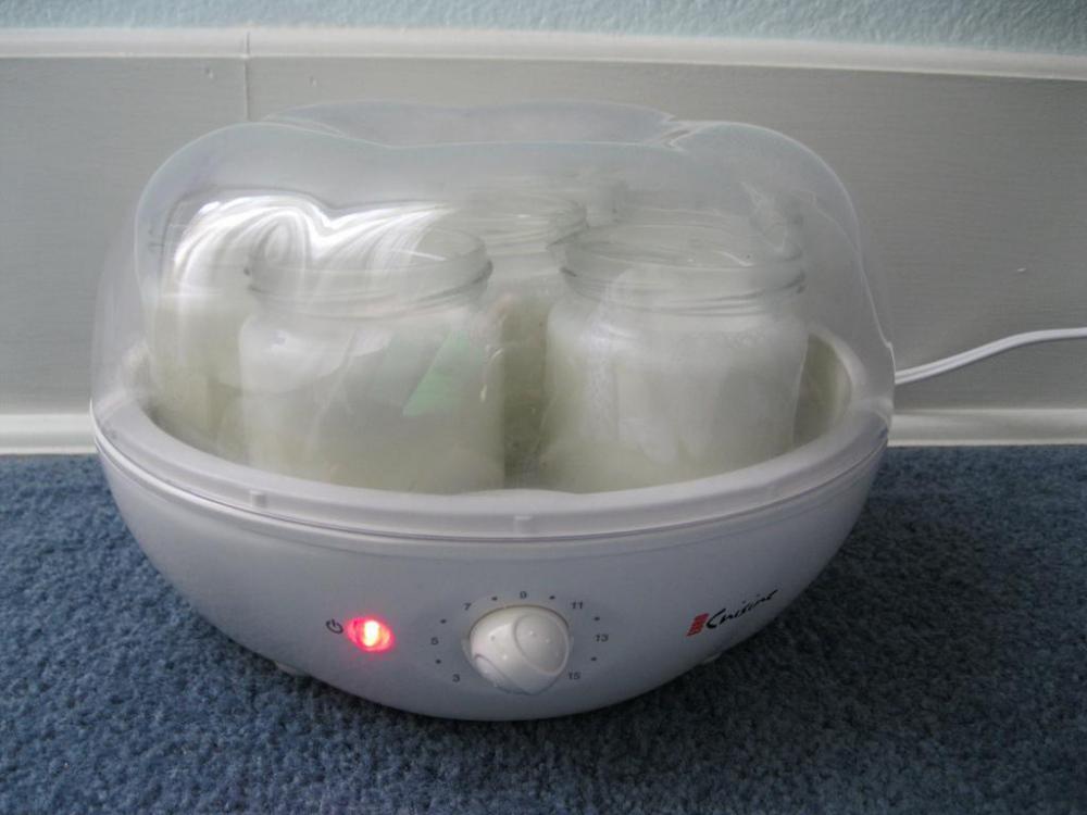 Fermenting milk in a yogurt maker.