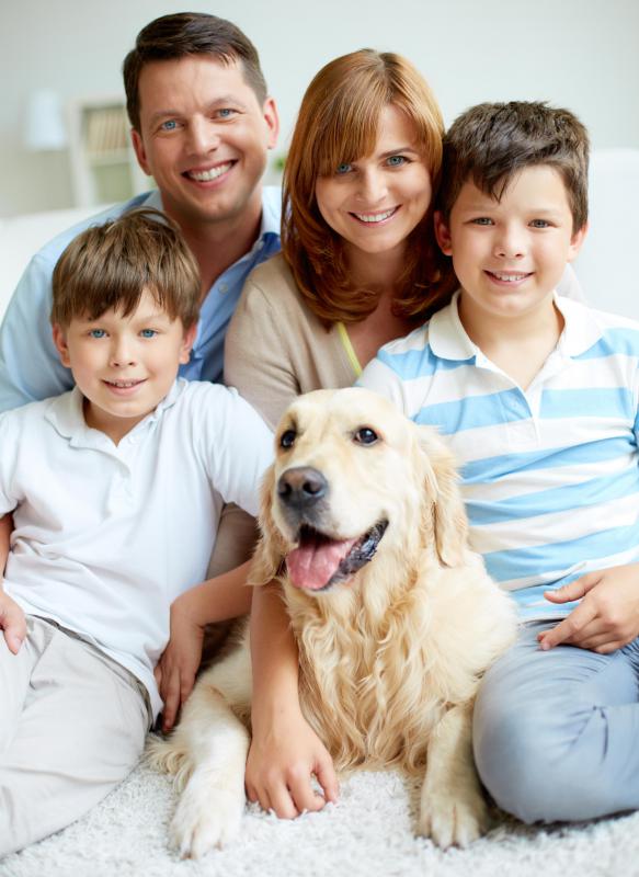 Dental insurance plans for families can cost as little as $80 a year in premiums.