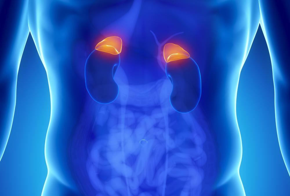 adrenal glands not producing enough cortisol