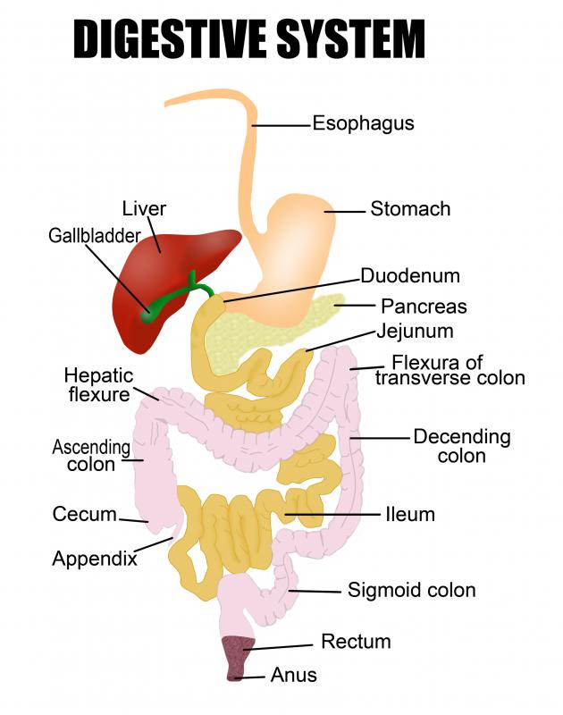 vomitado moído de café é muitas vezes um sinal de úlceras, lágrimas e tumores do sistema digestivo.