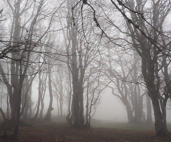 后声波可能为人们常归结为怪异感知(鹅脉冲、冷寒、焦虑症)负责