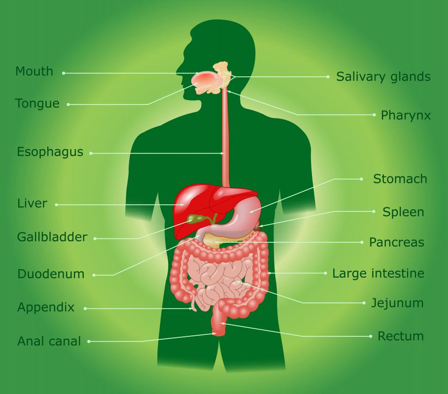 What Is The Treatment For Blocked Salivary Glands