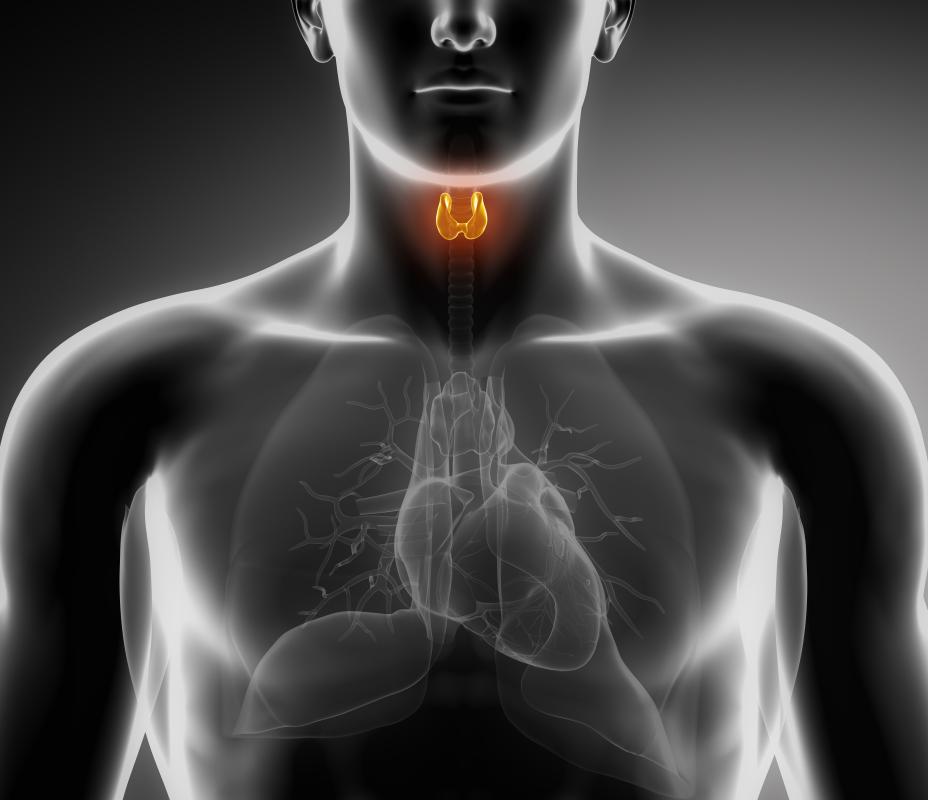thyroid night sweats