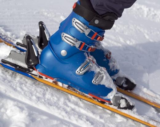 Boots click into ski bindings.