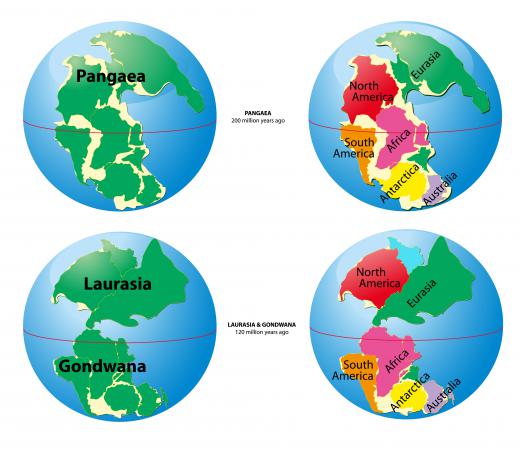 Millions of years ago, Antarctica was likely farther north and much warmer than it is now.