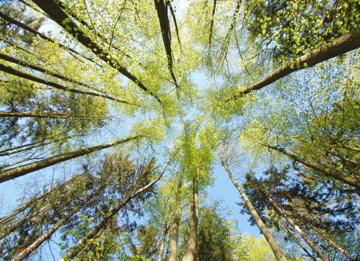 Open-air classrooms allow students to enjoy nature as they learn.