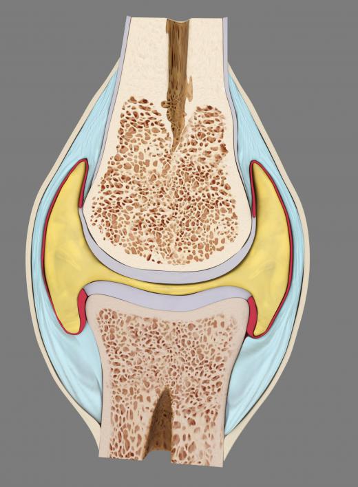 It's widely believed that adults can't regenerate cartilage.