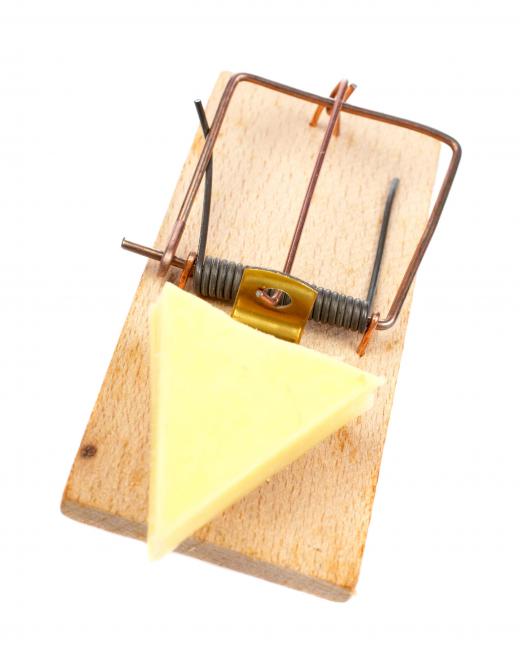 The classic, spring-loaded mouse trap is designed to kill the rodent.