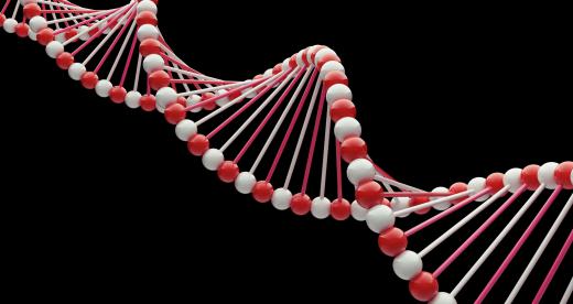 Throughout the strands of DNA found within cells, there are sequences of nucleotides that code for starts and stops.