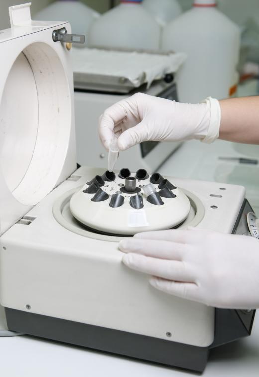 A cytogeneticist placing a test tube in a centrifuge.