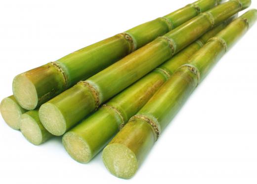 Ethanol can be made from sugar cane.