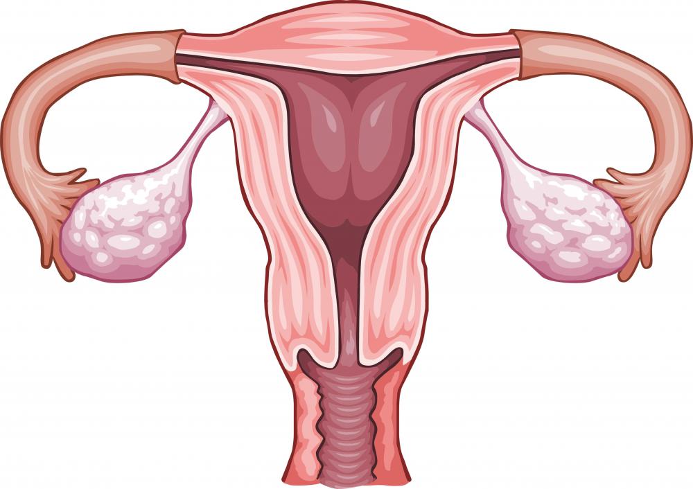 Uterus early pregnancy and tilted Tilted Uterus: